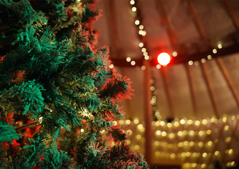 Close up of a Christmas Tree